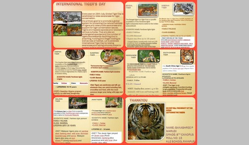 Tigers Day